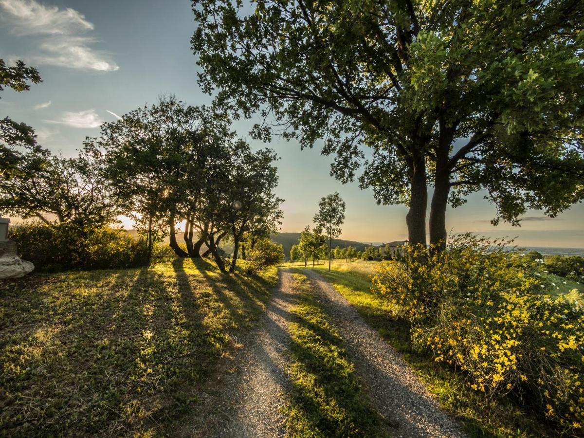 Parco Di Montebello Quattro Castella Εξωτερικό φωτογραφία